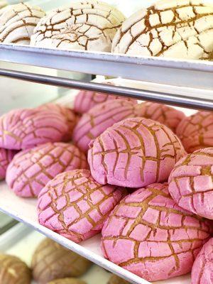 Pan Dulce and Conchas