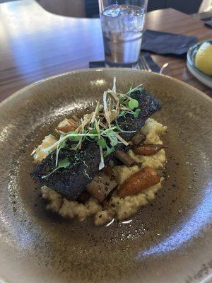 Bison Short Ribs