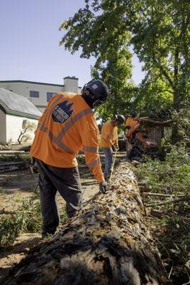 G Garcia Tree Service