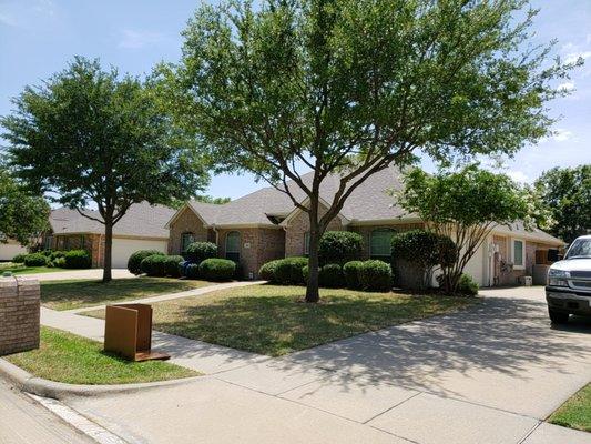 Trimmed trees look awesome.