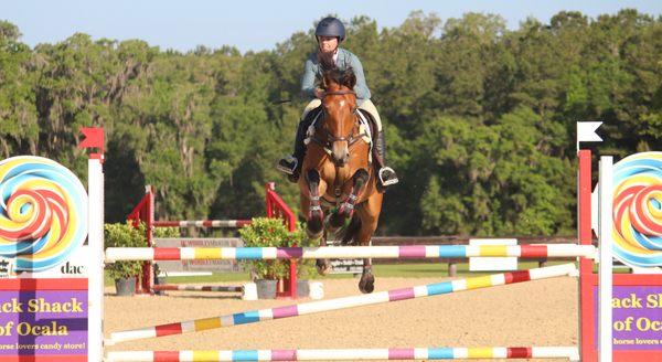 A Tack Shack Customer Cruising Over Tack Shack Of Ocala Jump At The Florida Horse Park!