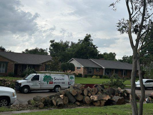 Tree pieces are neatly stacked at the curb