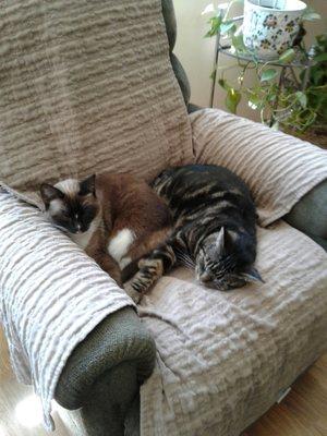 Debbie & Carrie in their adopted home