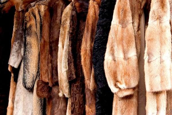 Angelo's Leather & Furs, Inc.