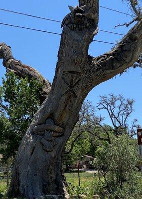 Cool Tree carvings!