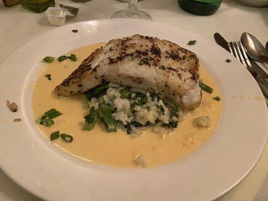 Halibut with risotto