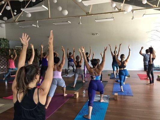 Hatha Yoga Class