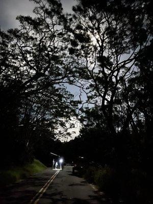 Devastation Trail