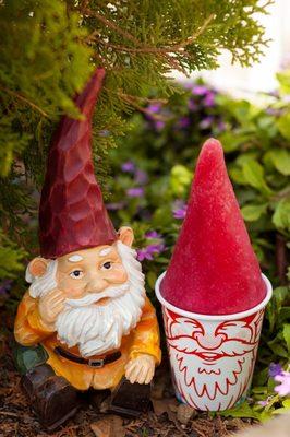 Two Gnomes stoppin' to smell the roses...