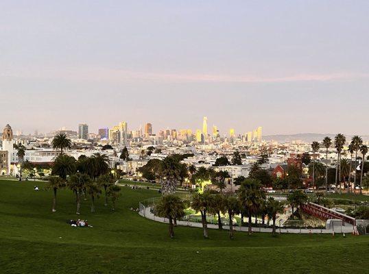 Park and downtown skyline