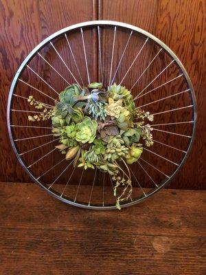 Succulent arrangement for a cyclist