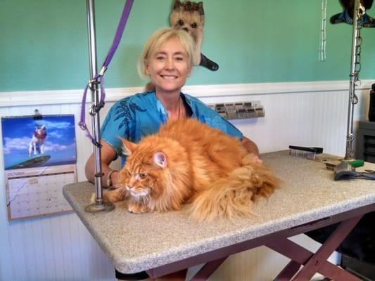 Yes, Lions are taken in here also.  This guy is as almost as big as the table.  And is a  Big Sweety too!