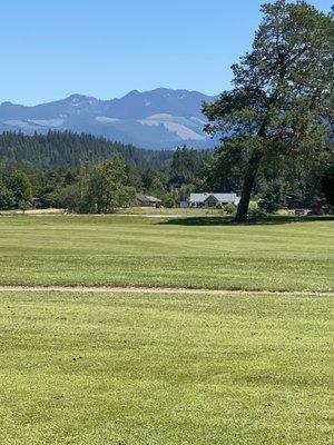 Views from the fairway!