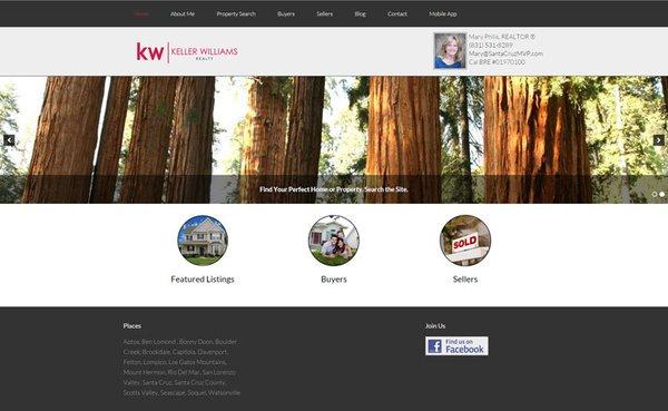 Pleasanton Real Estate Web Design