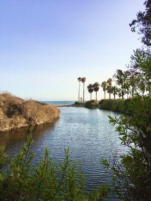 View of Arroyo Burro County Beach Park while walking along Cliff Drive