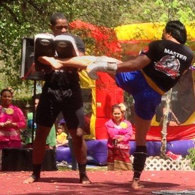 The Art of Muay Thai