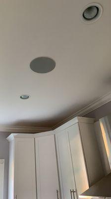 Speaker in the ceiling