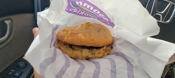 Two sample cookies to go with the ice cream