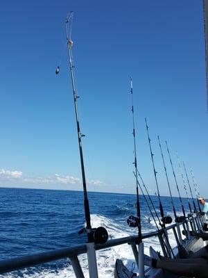 Pretty day out on the water