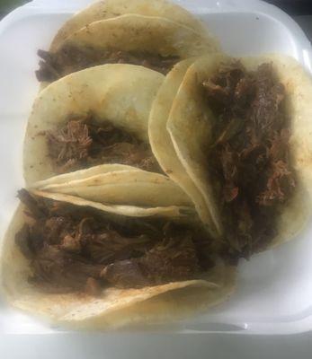 Tacos of barbacoa plain