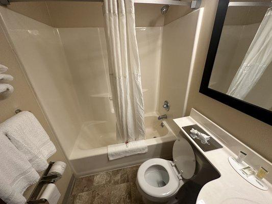 Reasonably clean bathroom with toiletries included.