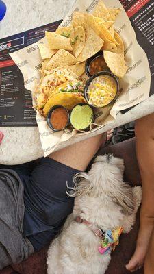 Tacos, dog friendly!