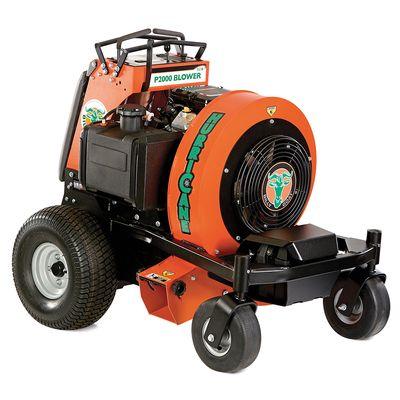 Ride On Leaf blower Rentals