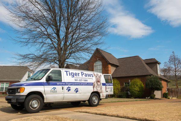 Tiger Paws Carpet & Upholstery Cleaning