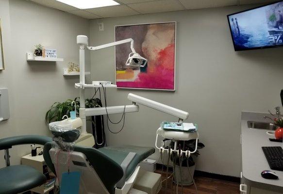 Our exam room looking out into the garden