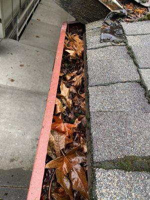 Clogged gutter!