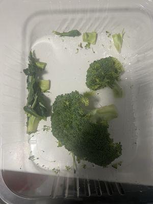 Fresh broccoli and you can see the parasite moving