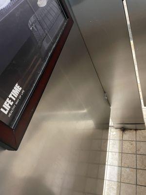 Extremely dirty washrooms. Washroom floors haven't been cleaned in months. See pictures.