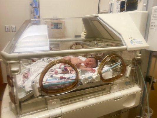 Daughter in the NICU