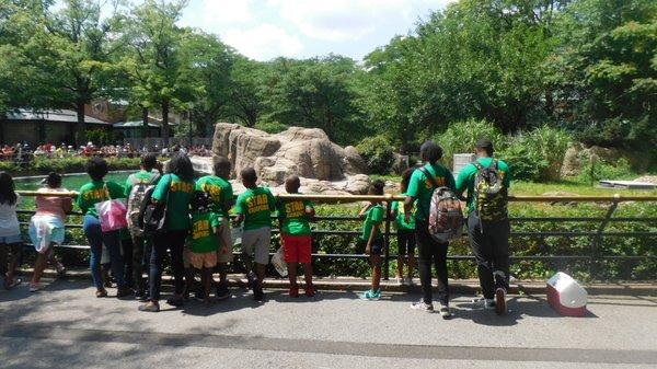 Zoo Trip