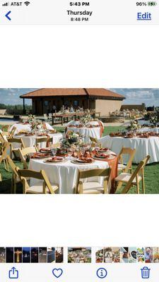 Natural wood Chairs