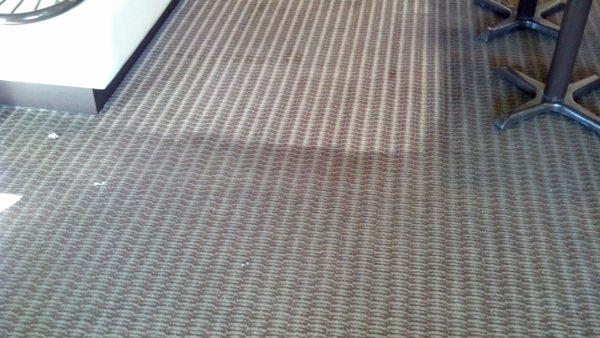 DiTucci's Carpet & Upholstery Cleaning