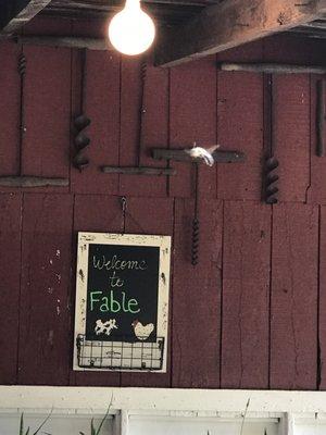 Fable sign