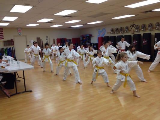 Millennium Martial Arts Students performing at a recent belt promotion test. Amazing focus and precision from these kids!