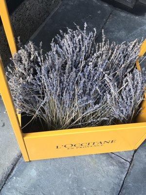 Also a sucker for their amazing lavender