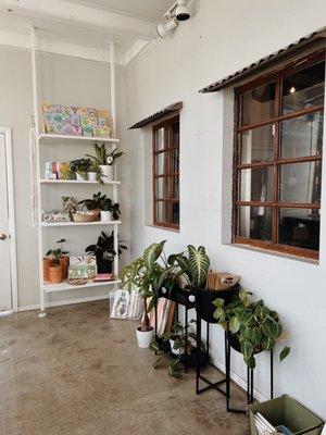 who doesn't love a good sunroom full of plants for a meeting/work/hang space?!