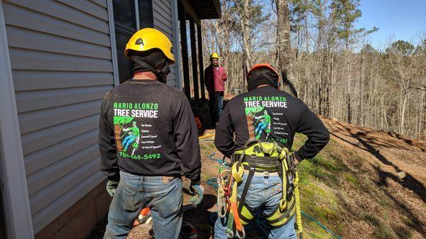 Mario Alonzo Tree Service