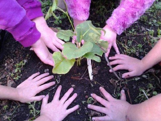 At Rising Sun Montessori School, we have two wonderful classrooms that both offer the love and nurturing care that feels like home.