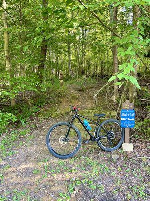 Tomlinson Run State Park