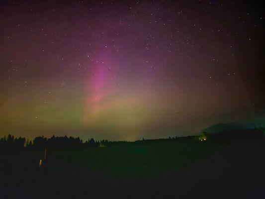 Northern lights, photo taken by Vickie!