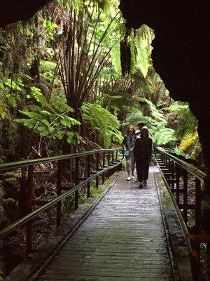 Volcano National Park