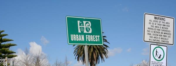 Huntington Beach Urban Forest.