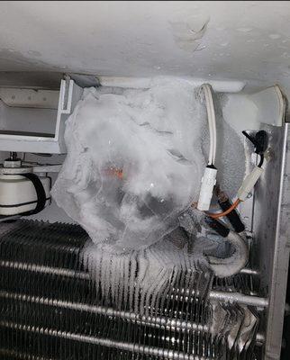 Refrigerator Freon leak