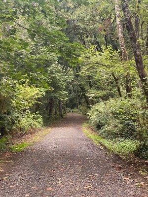 Priest Point Park, Olympia WA