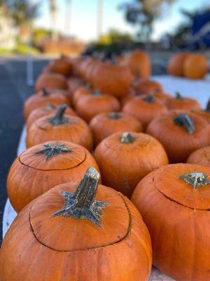 Harvest Fest