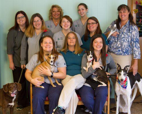 The Suffolk Animal Hospital Team